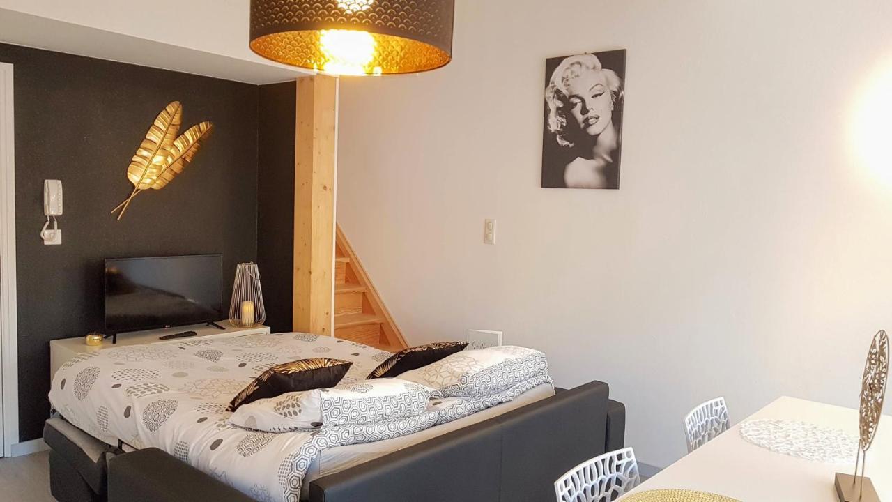 Les Nuits D'Anis - Appartements Hypercentre Le Puy-en-Velay Exterior photo